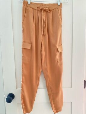 Rachel Zoe Paperbag Waist Cargo Pants in Terracotta Smooth Fabric